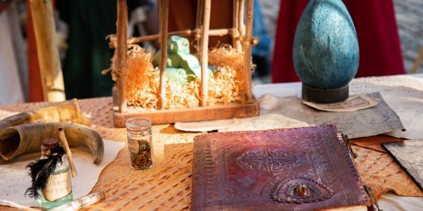 Les expériences du dragonologue - Troupe médiévale-fantastique "Les Arpenteurs de Guldrasyl" de la compagnie Rêves Temporels